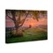 Stupell Industries Bold Sunrise in Countryside Canvas Wall Art Design by Marty Hulsebos